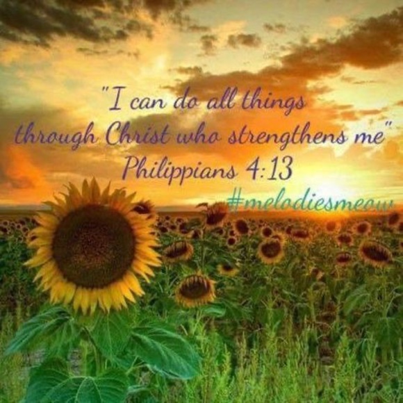 Meet your Posher, Angie - Picture 1 of 1